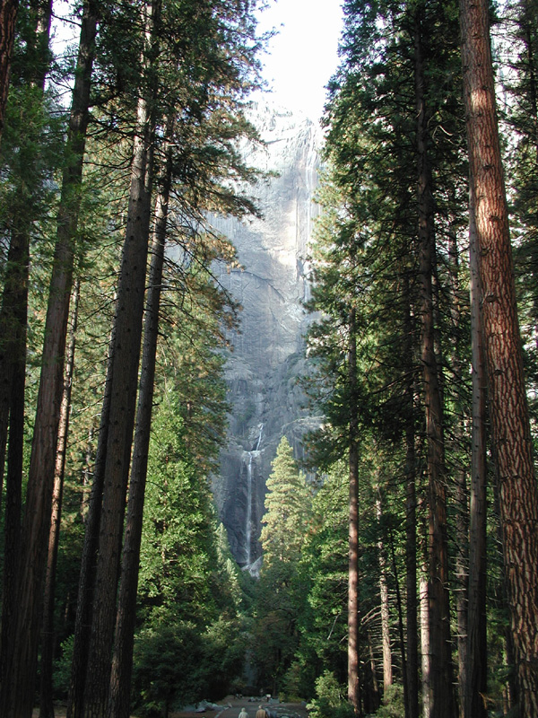 57-Yosemite_Falls_from_lower_falls_trail