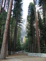 54-Yosemite_Falls_from_lower_falls_trail