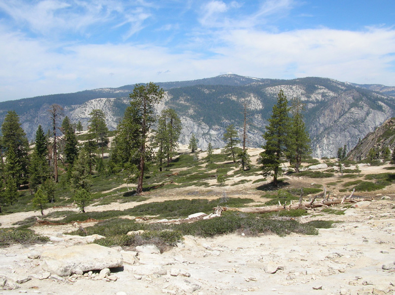 07-Taft_Point_area