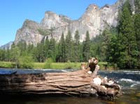 90-El_Portal_view-Bridalveil_Fall