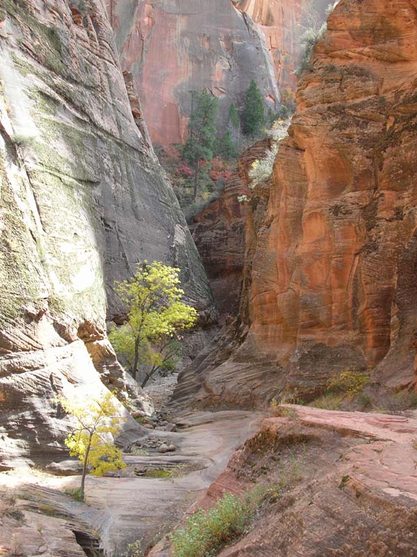 64-scenic_views_of_small_canyon