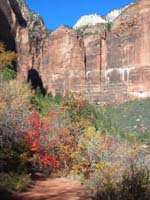 06-views_of_fall_colors