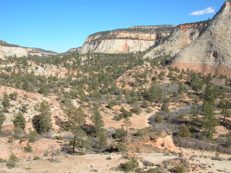 07-scenic_views_of_Checkerboard_Mesa_area