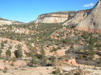 07-scenic_views_of_Checkerboard_Mesa_area