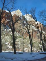 27-pretty_views_through_the_trees