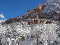 25-snowy_trees_and_mountains