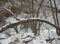 17-Weeping_Rock_Trail_closed_partway_up-I_went_past_it_to_get_these_pictures