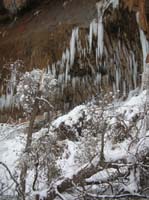 18-lots_of_debris_from_fallen_trees_block_trail-also_ice_chunks_that_has_fallen