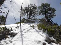 23-followed_Harlan's_footprints-I'm_heavier_so_I_sank_to_my_knees_in_many_spots