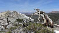 33-panoramic_view_to_right_of_last_picture