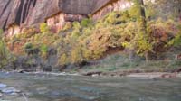 22-fall_colors_at_Temple_of_Sinawava_along_Virgin_River-looking_downstream