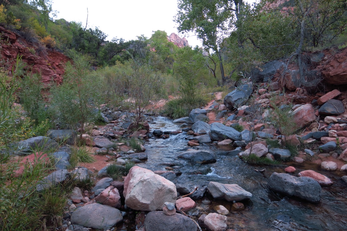 020-we've_reached_Left_Fork_North_Creek-630am