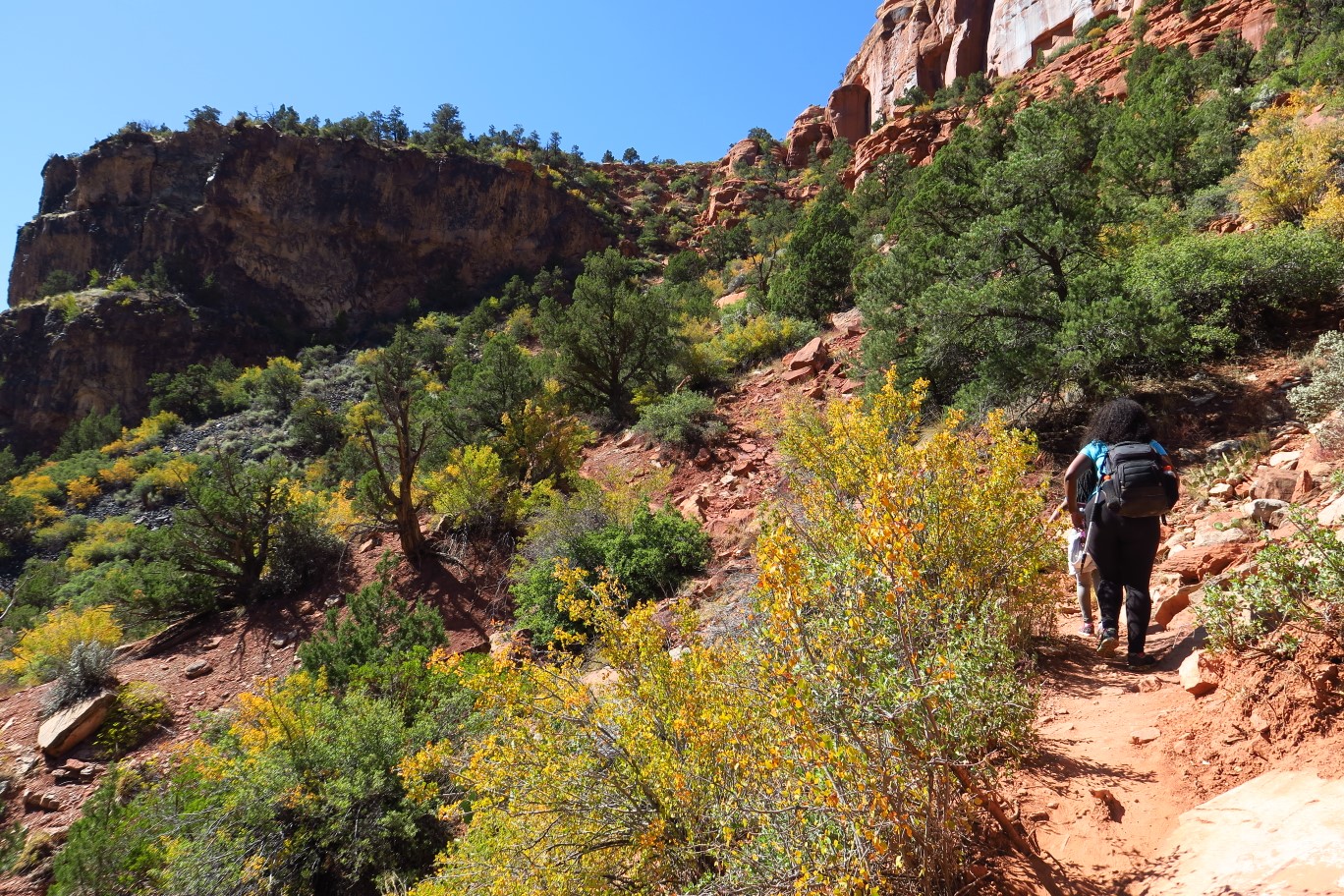 140-scenery_looking_uphill_along_the_trail