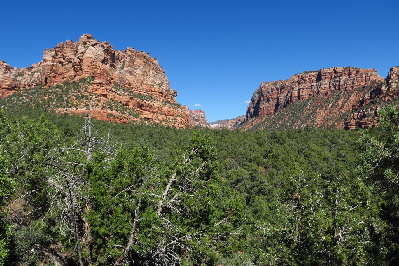 146-final_views_from_the_trailhead_area_of_Zion-2pm