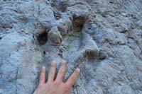 040-dinosaur_track_with_my_hand_for_size_reference