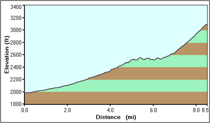 008-dirt_road-profile