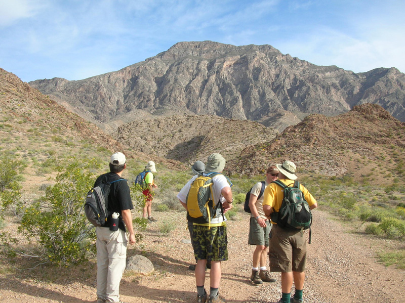 010-the_group_contemplates_the_peak-Jorge,Harlan,Fred,Tomasz,Jan,Joel