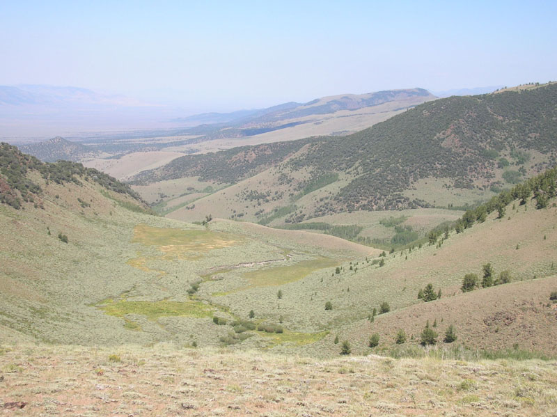 42-trail_is_down_there_in_the_field-looking_north