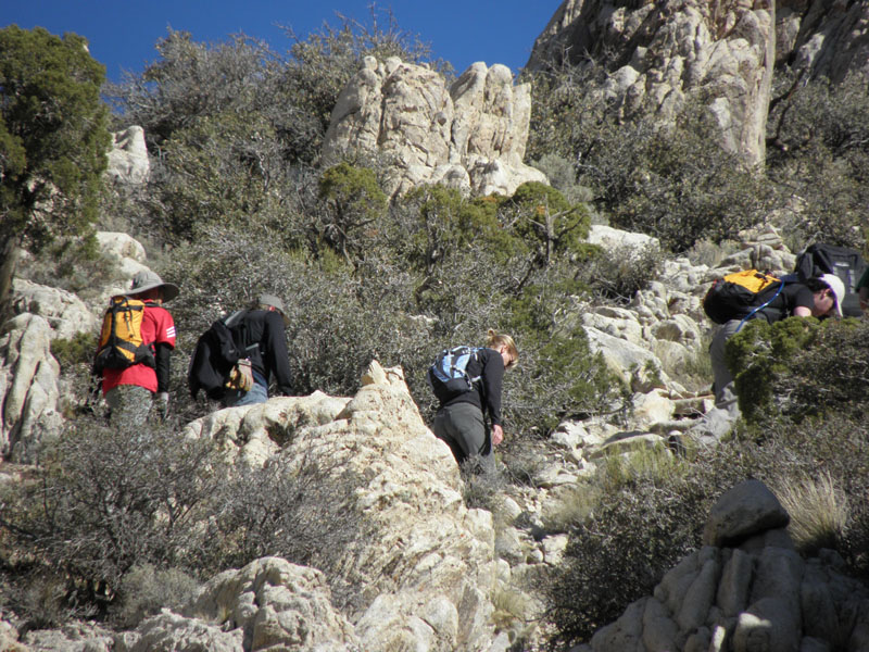 17-zoomed_view_of_others_in_the_group_before_ridgeline