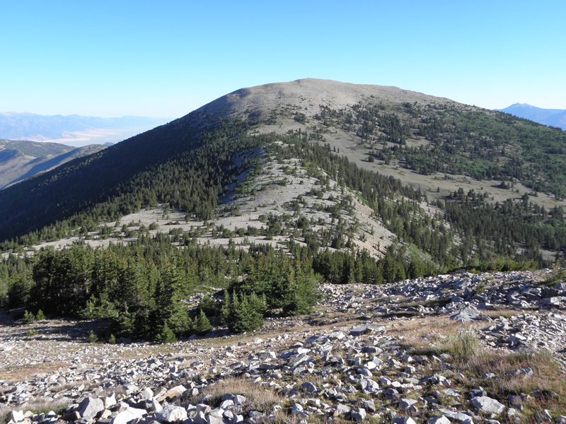 12-looking_back_towards_treeline