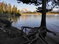 01-sunrise_view_along_Jackson_Lake_at_Signal_Mountain_Campground