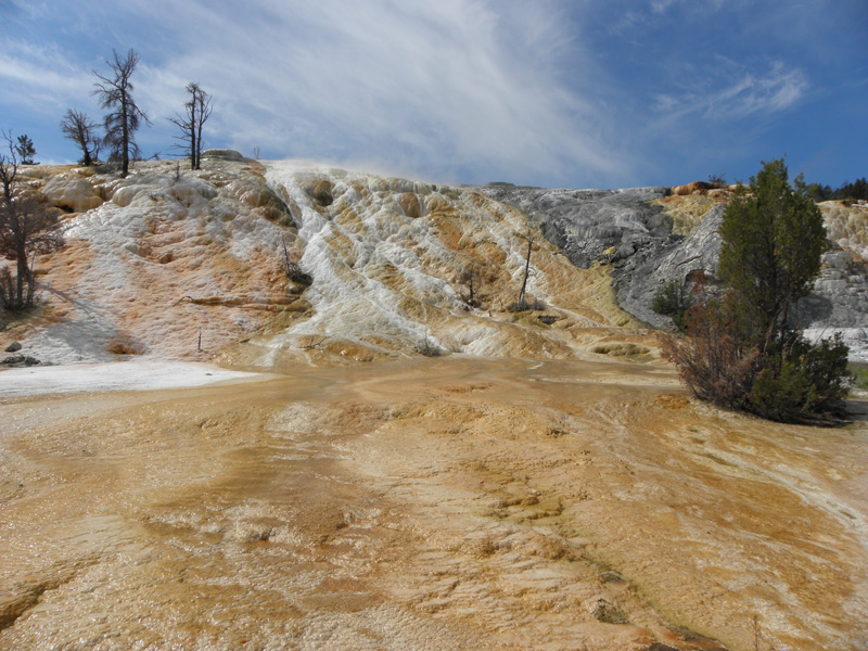 17-Palette_Spring_at_Mammoth_Hot_Springs