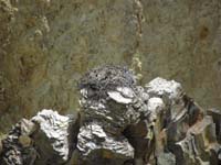28-osprey_nest-10_weeks_old-spotted_at_overlook_for_Grand_Canyon_Yellowstone_Lower_Falls