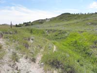 10-continue_on_trail_mostly_along_fence_and_through_grass