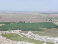 28-zoomed_view_of_field_with_starting_point_in_upper_right_of_field