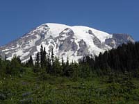 26-pretty_wildflowers_and_Mount_Rainier