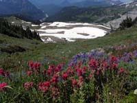 33-more_amazing_scenery-Nisqually_River_in_distance-crossed_that_few_hours_ago_from_campground