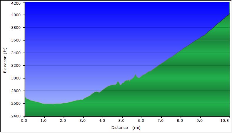 75-dirt_road_profile