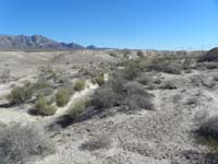 12-burrow_is_gone,visited_too_late-terrain_altered_due_to_floods