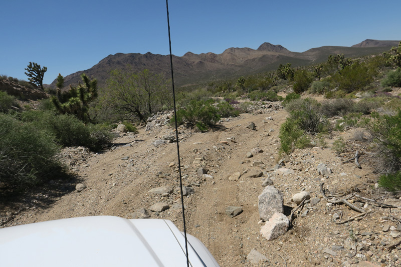 40-dirt_road-sandy_parts_and_lots_of_rocks_sticking_out