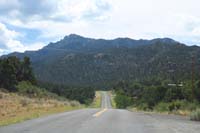 04-outside_Kingman-approaching_Hualapai_Mt_area-forest_is_surprising