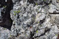 19-interesting_granitic_rock_with_shiny_crystals