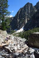 43-scenery_along_the_trail