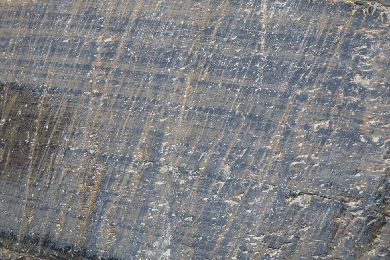 022-glacial_feature-striations_and_polishes_rock_by_the_glacier