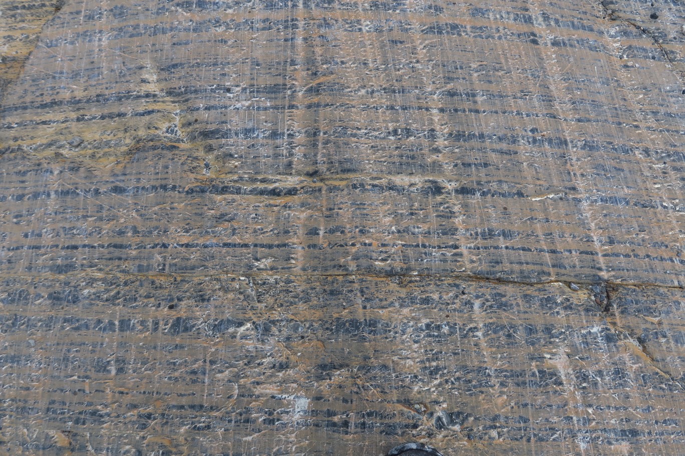 131-glacial_feature-more_striations_and_polished_rock