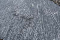 126-glacial_feature-striations-interesting_to_see_different_paths_indicating_flow_patterns